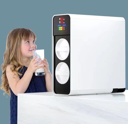 Máy lọc nước gia đình than hoạt tính PPC RO Tankless Undersink Water Filter